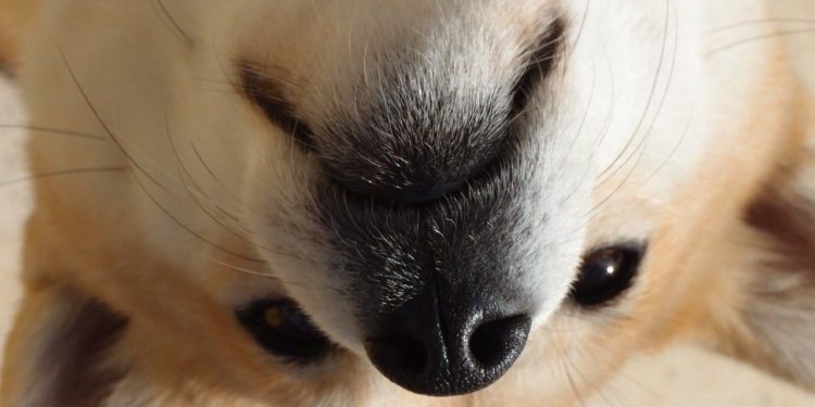 The Good, Bad, And The Ugly