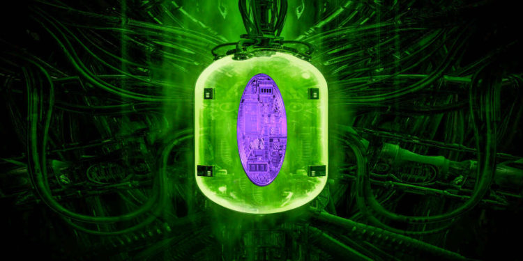 Trader Tyler Swope Tracking Two Nascent Crypto Assets for Next Altcoin Boom