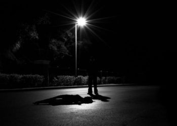 Wallstreetbets Calls Out Cryptocurrency Scam Using Its Likeness