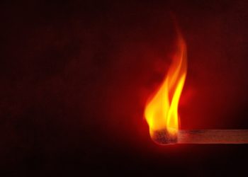 Litecoin Prepares For Fresh Bull Momentum As Alt Season Cements 