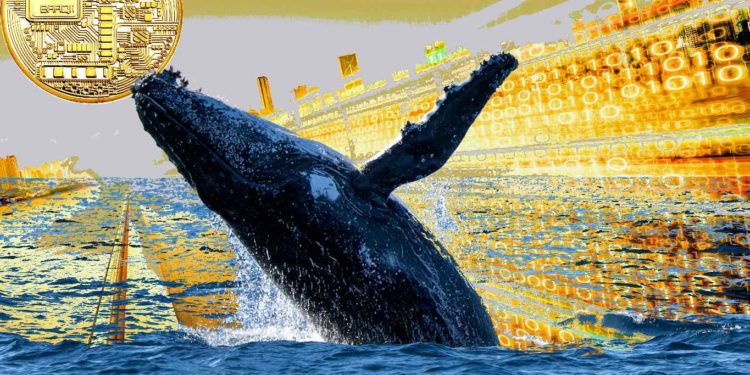 Early Bitcoin and Ethereum Whale Says He’s Bullish on This Obscure Altcoin