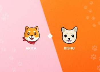 OKEx Lists Two More Meme Coins – AKITA and KISHU
