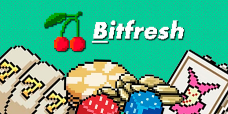 Join Bitfresh Casino – Investment Opportunity