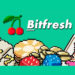 Join Bitfresh Casino – Investment Opportunity