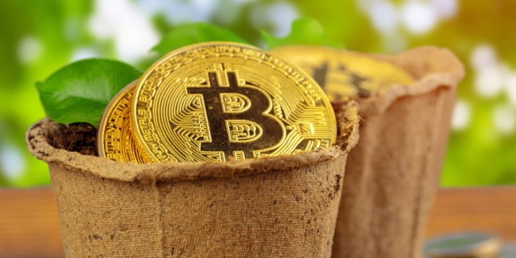 Why Bitcoin Plunged to $42K before Spiking Back to $45K