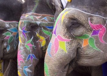 India Will Regulate Crypto as Ban Talk Binned