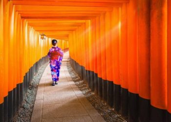 Japanese Pro-Crypto MP Spells Out Vision of Crypto, NFT Regulatory Future