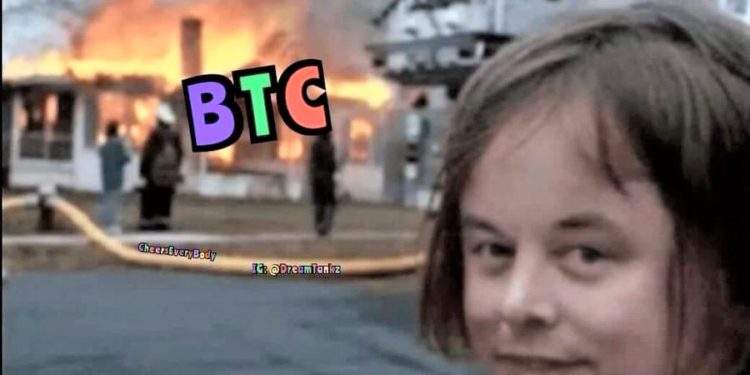 Much Red, Very Down, Super Panic and 20 Crypto Jokes