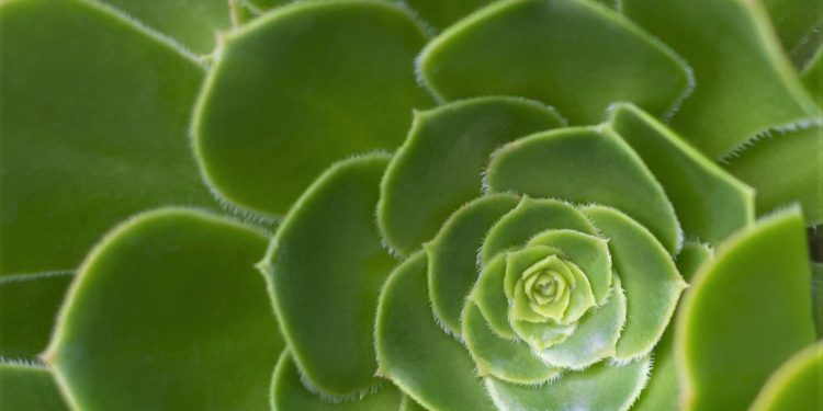 RSK is Bitcoin’s Fastest Growing Layer, Not Liquid nor Lightning