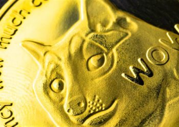 Dogecoin Tops Liquidation Charts On Elon Musk Live Weekend