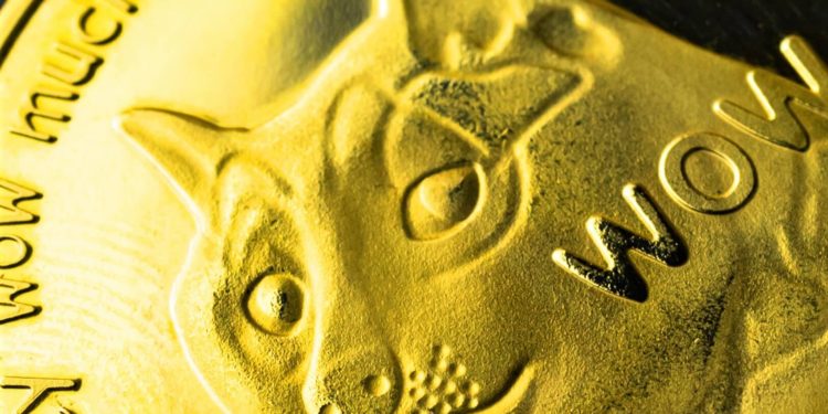 Dogecoin Tops Liquidation Charts On Elon Musk Live Weekend