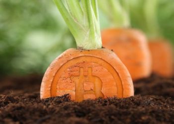 95% Of BTC Mining Pools Have Signalled Taproot Activation