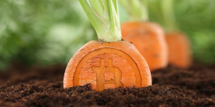 95% Of BTC Mining Pools Have Signalled Taproot Activation