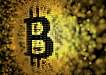 Satoshi or Bitcoin? Novogratz Reignites BTC Marketing Debate