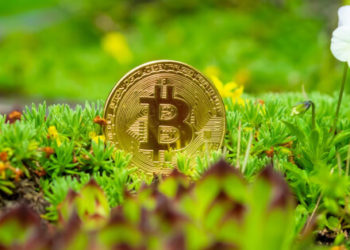 Bill Miller: Bitcoin- Still A Safe Investment Despite Market Crash