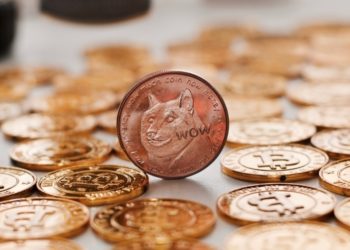 Goldman Sachs Managing Director Reportedly Resigns After Making Millions from Dogecoin