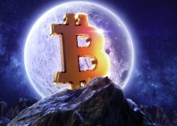 Long-Term Bitcoin Holders are Accumulating Coins After Trimming Their Positions in the Early Bull Run