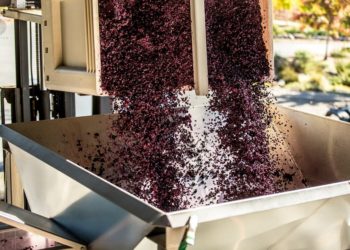 Vitalik Buterin Dumps His SHIB, Price Tanks 30% In 1 Hour