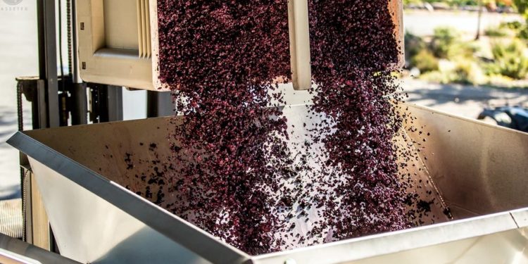 Vitalik Buterin Dumps His SHIB, Price Tanks 30% In 1 Hour