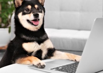 ‘DOGE Killer’ Shiba Inu Clogs Ethereum While Musk Lifts Dogecoin Again