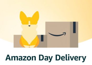 Will Amazon Accept DOGE Payments?