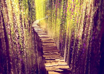 ‘This Is Gonna Go On for Some Time,’ US Regulators Investigating Binance – Report