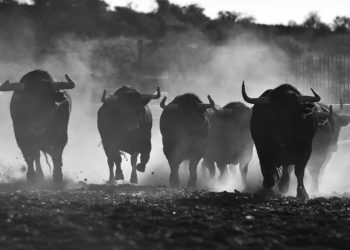 Five Signs That The Bitcoin Bottom Is In