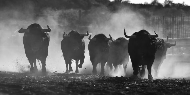 Five Signs That The Bitcoin Bottom Is In