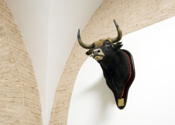 The Bearish Signal Ethereum Bulls Need To Fear