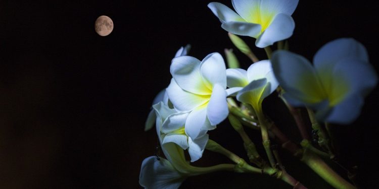 April Showers Could Blossom Return Of Bitcoin Bull Run This May