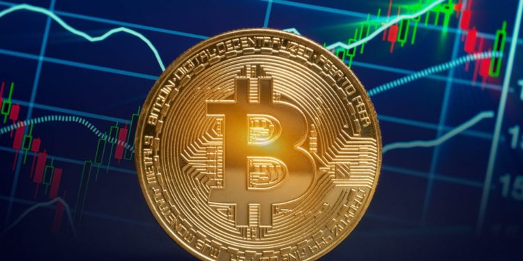 BTC Price Now Vs 2013 And 2017 Graphs Shows Positive Correlation