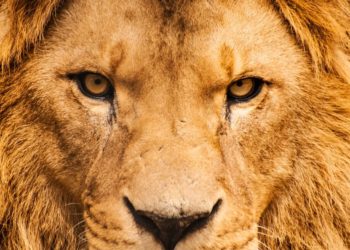 FATF Makes Small Crypto Platforms Easy Prey For Big Players