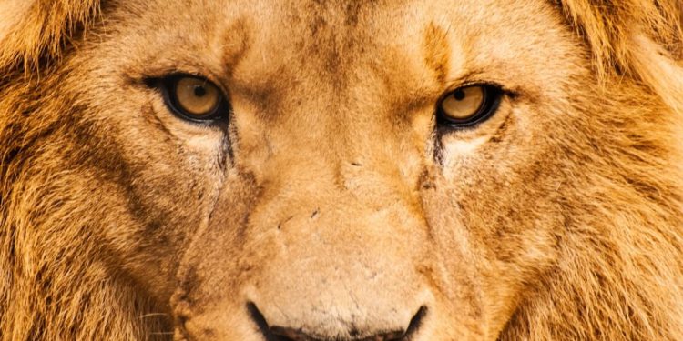 FATF Makes Small Crypto Platforms Easy Prey For Big Players