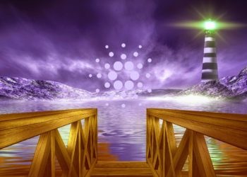 Here Are Crucial Levels To Watch for Cardano and 6 Emerging Altcoins, According to Crypto Trader Michaël van de Poppe