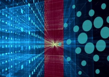 You Can Now Buy Cardano Wine – With Cardano