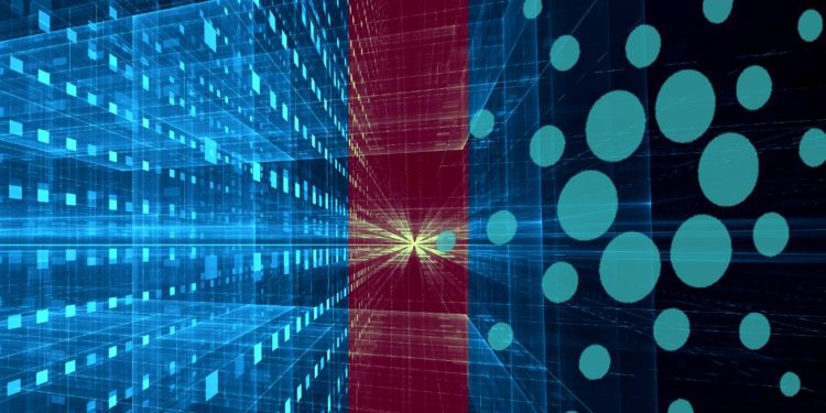 You Can Now Buy Cardano Wine – With Cardano