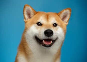 Coinbase Is Finally Going To List Dogecoin (DOGE) As Price Surges Again