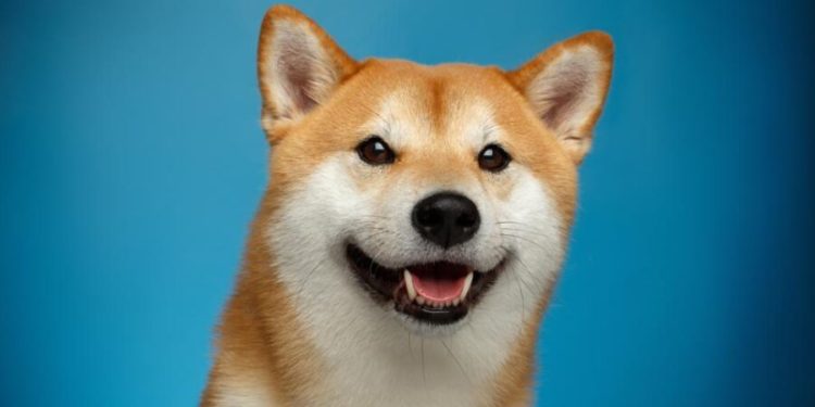 Coinbase Is Finally Going To List Dogecoin (DOGE) As Price Surges Again