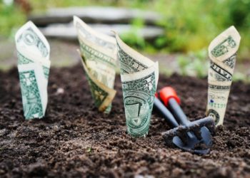 Free bitcoins with an 8% interest crypto account!