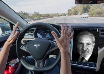 Slumping, Pumping, Hitting, Hustling, Musking and 20 Crypto Jokes