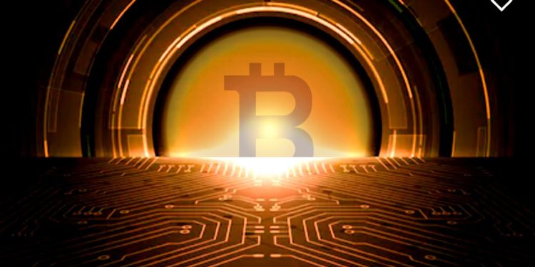 Network Effects Making Crypto Space Explode at Lightning Speed, Says Macro Guru Raoul Pal