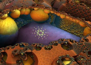 Are Cardano Investors in an Echo Chamber? Traders Scrutinize Hype Behind Red-Hot Crypto Asset