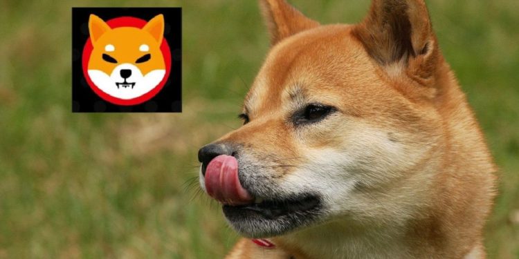 Shiba Inu Havoc – Traders Lose $40 Million USD On First Day Of SHIB
