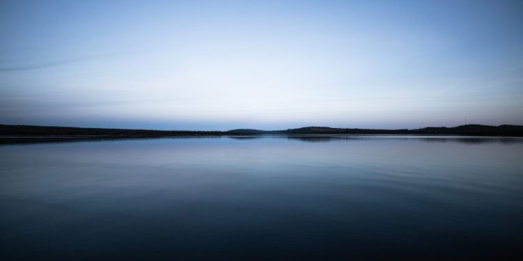 Hoskinson Shares His Top Tips For Surviving The Crypto Crash