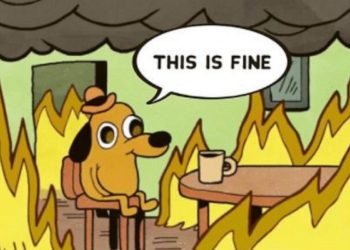 Crypto Memes Of The Week – 21 May