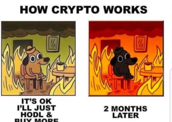 Crypto Memes Of The Week – 14 May