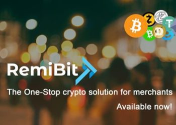 RemiBit Gives Control Back to The Users, How Any Business Can Receive Crypto Payments