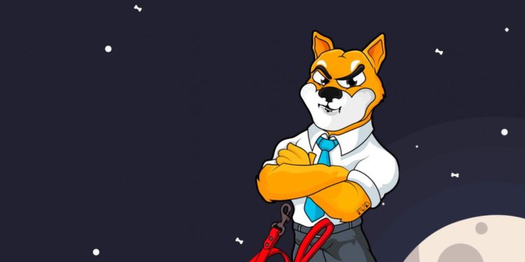 Doge’s Little Brother Shiba Ino (SHIB) Meme Coin Surges 700%