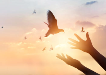 Bitcoin Shows Signs of Rally, Here’s What Could Trigger More Upsides