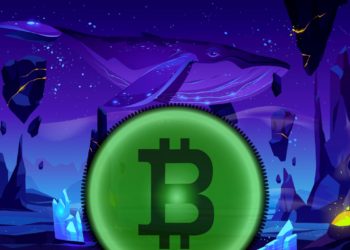 Are Crypto Investors Cashing Out? Nicholas Merten Explains Liquidity Shift Among Whales and Traders